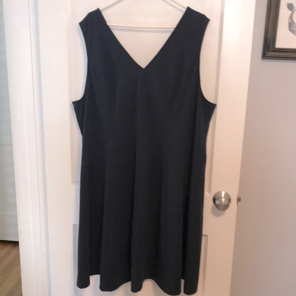 Meera Lane a-line dress with darting